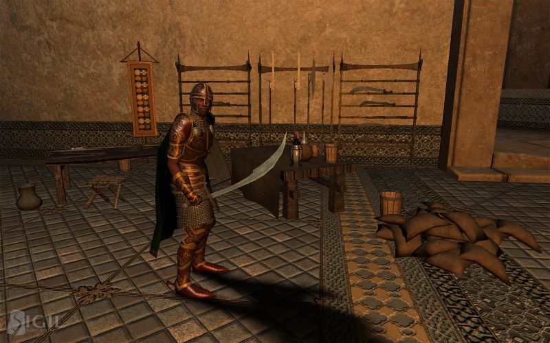 Vanguard: Saga of Heroes - screenshot 20