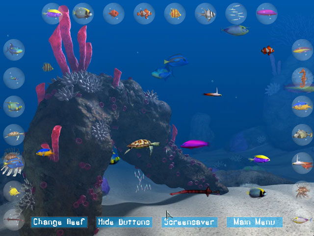 Big Kahuna Reef - screenshot 12