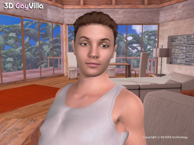 3D GayVilla - screenshot 39