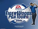 Tiger Woods PGA Tour 2001 - wallpaper #1
