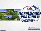 Tiger Woods PGA Tour 2001 - wallpaper #3