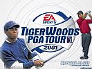 Tiger Woods PGA Tour 2001 - wallpaper #4
