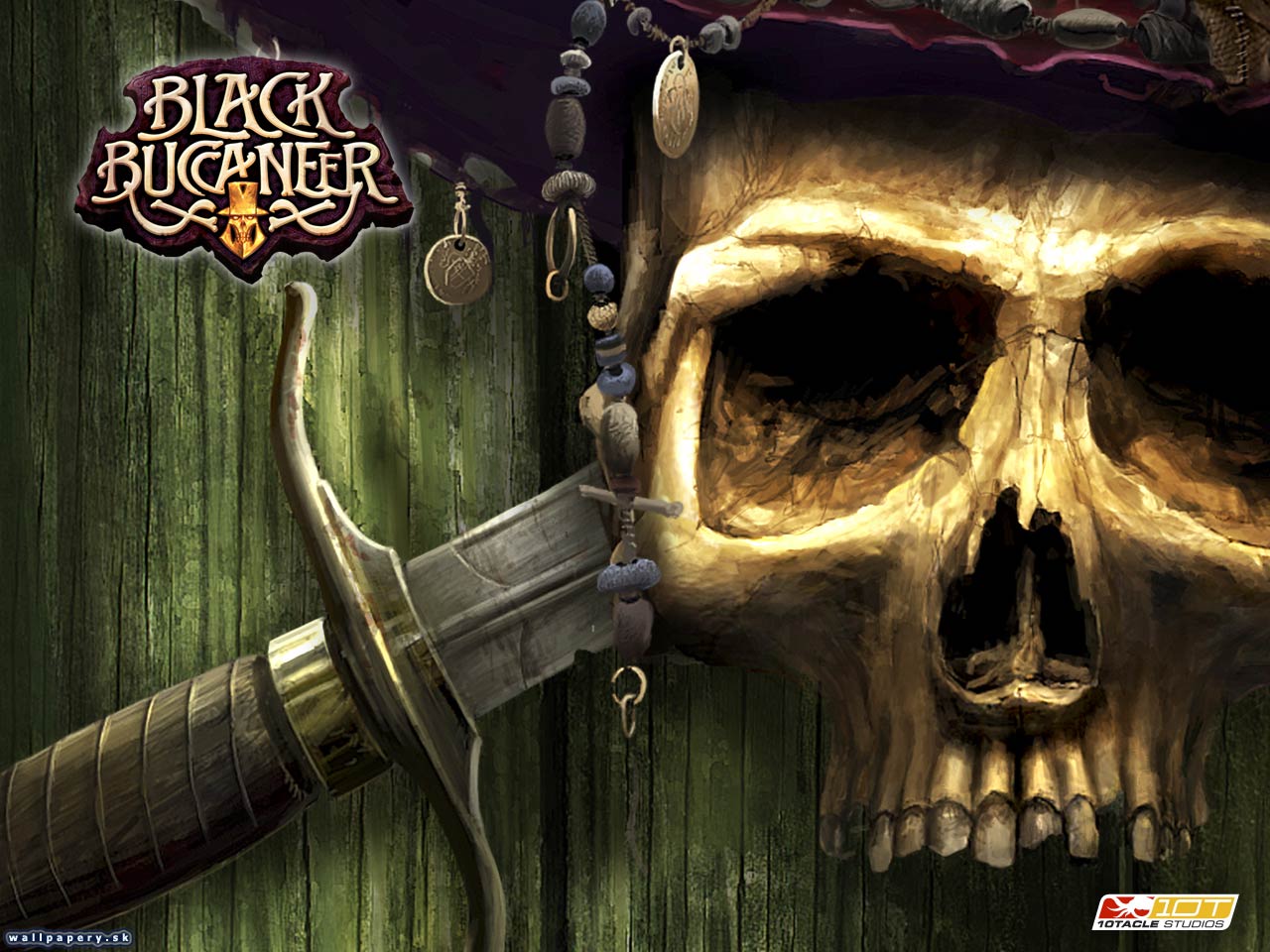 Black Buccaneer - wallpaper 1