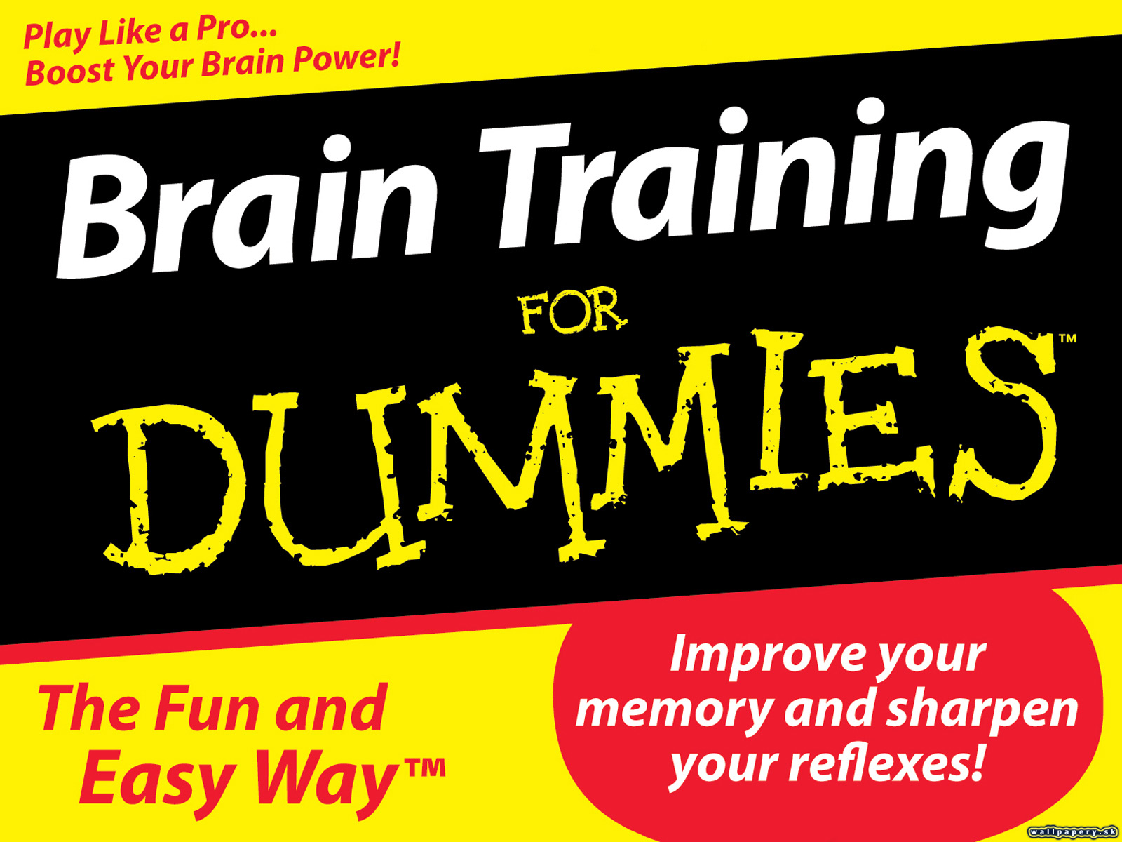 Brain Training For Dummies - wallpaper 1