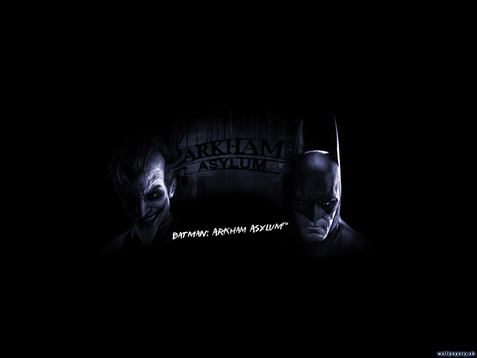Batman: Arkham Asylum - wallpaper 9