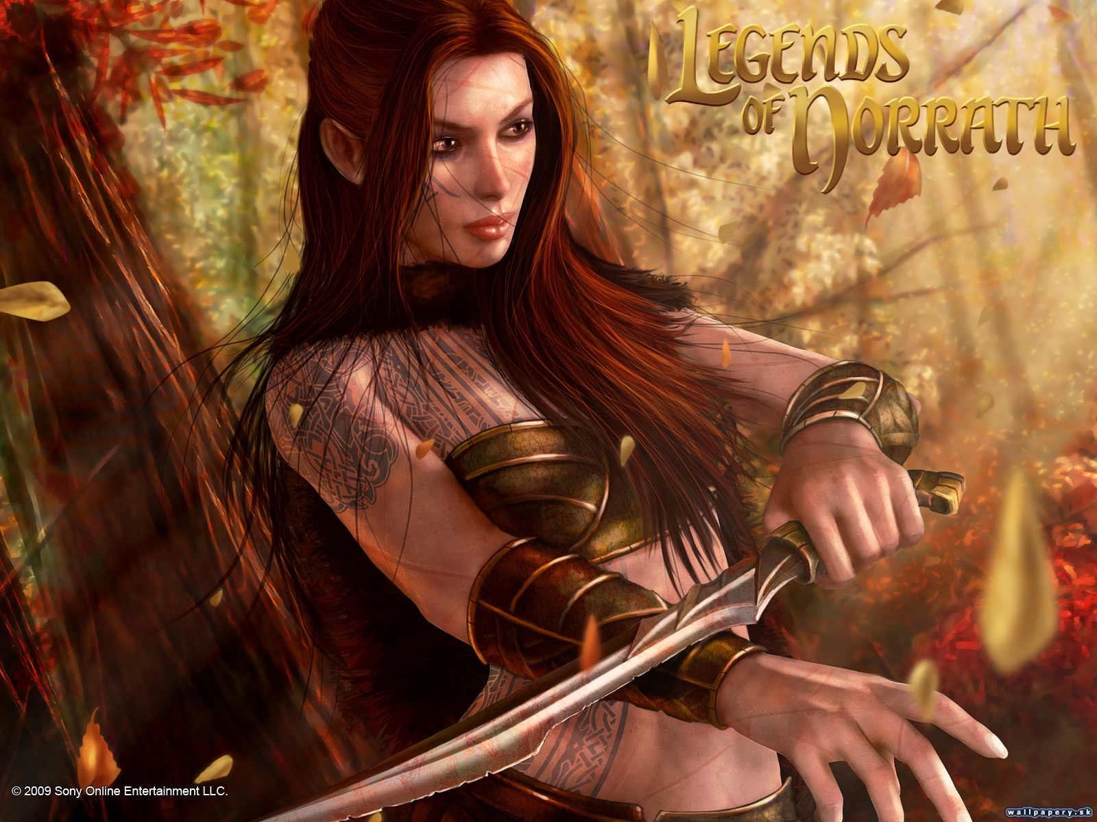 Legends of Norrath: Storm Break - wallpaper 1