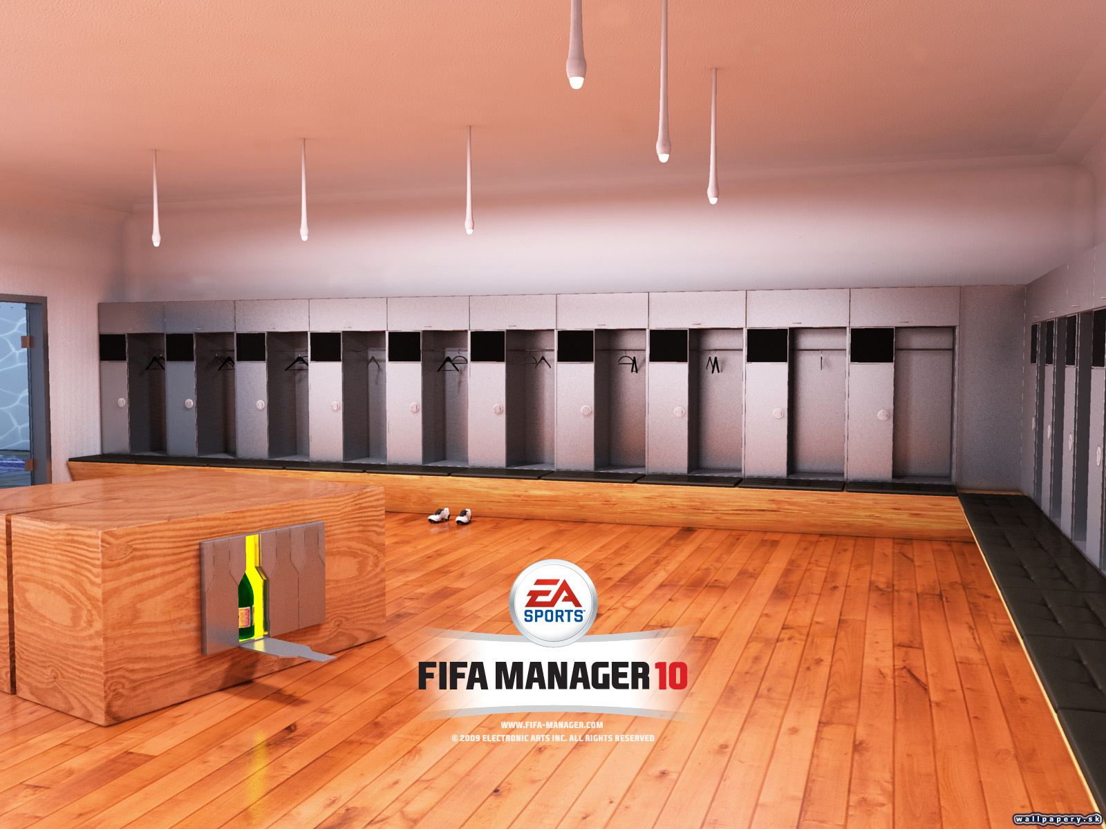 FIFA Manager 10 - wallpaper 5