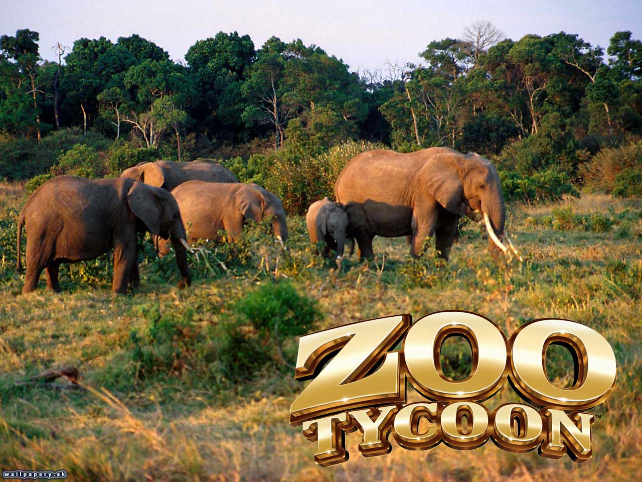 Zoo Tycoon - wallpaper 2
