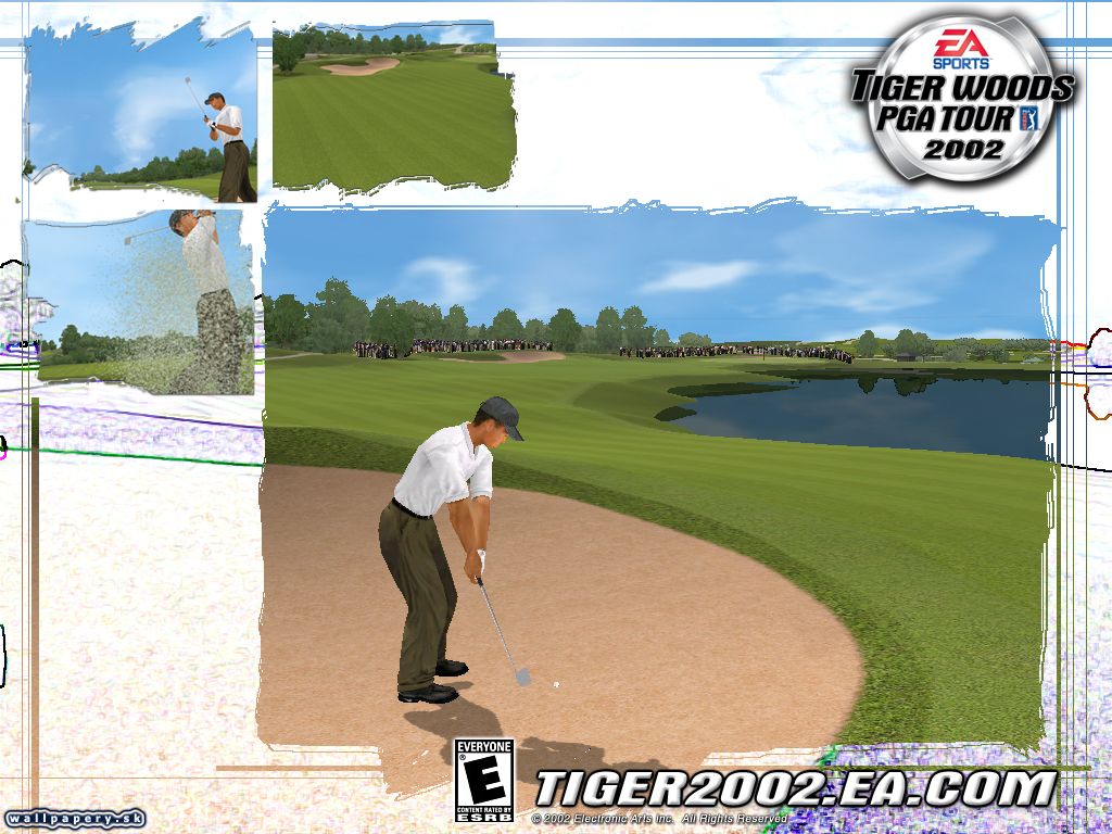 Tiger Woods PGA Tour 2002 - wallpaper 4