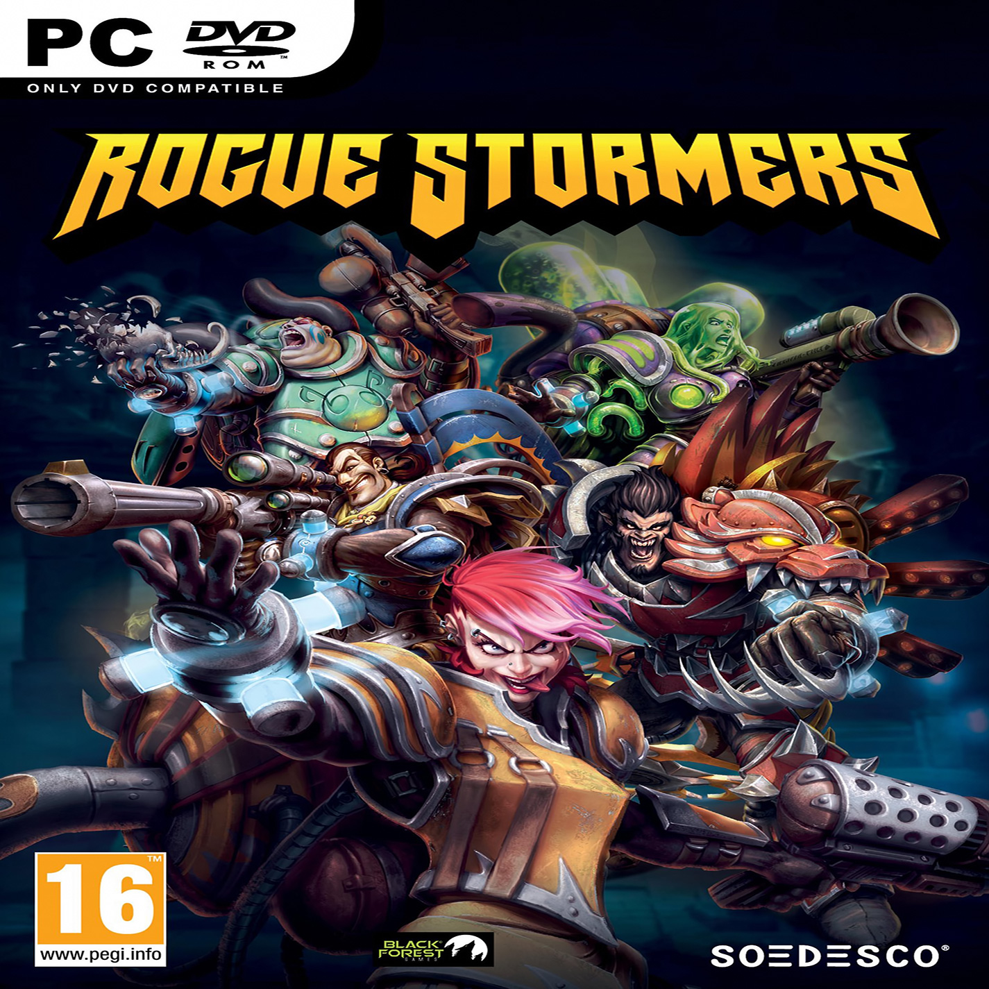 Rogue Stormers - predn CD obal