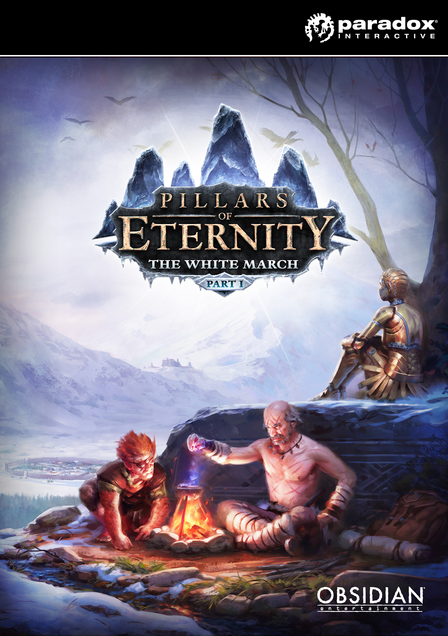 Pillars of Eternity - The White March: Part 1 - predn DVD obal