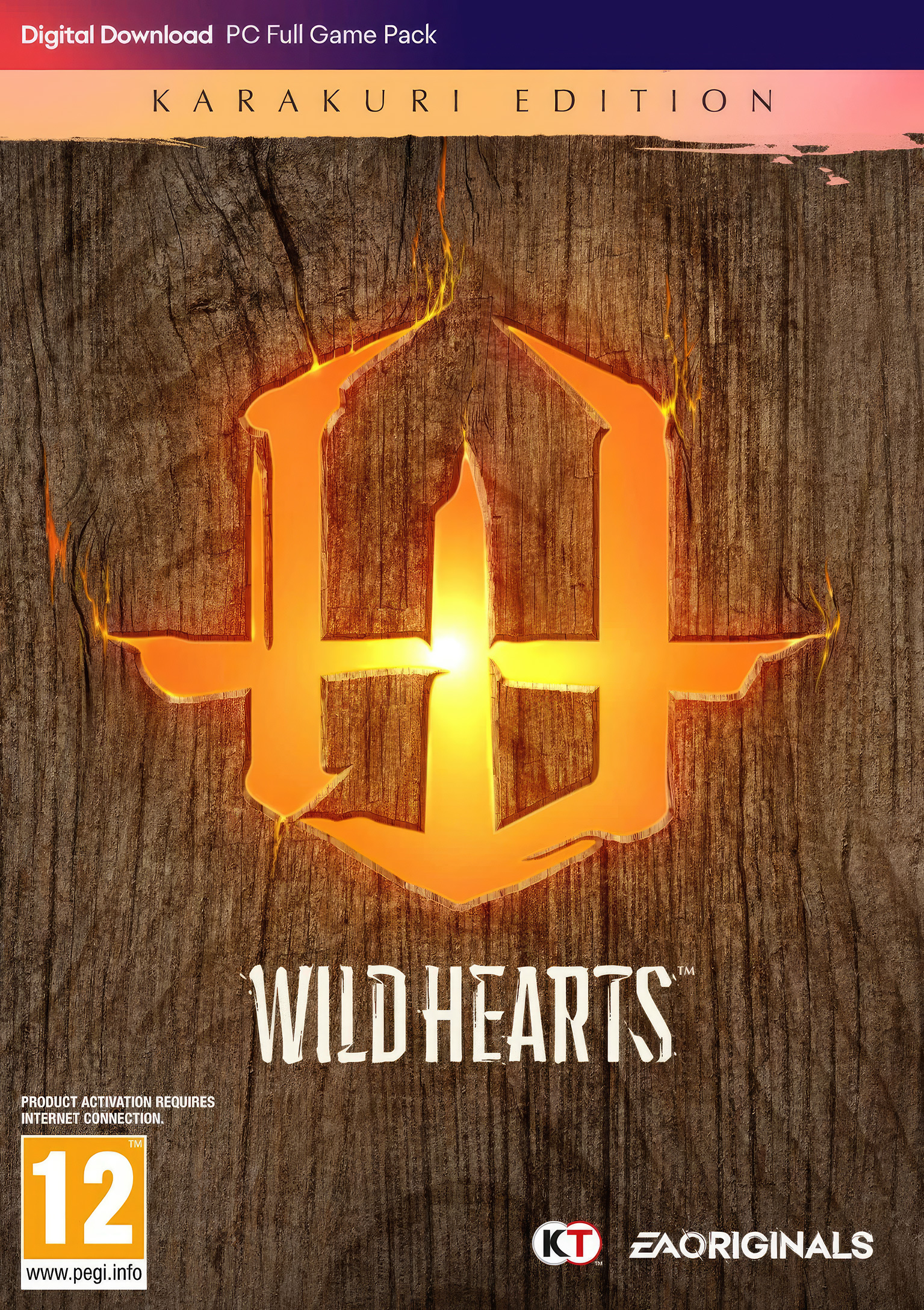 Wild Hearts - predn DVD obal 2