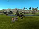 My Riding Stables: Life with horses - screenshot #14