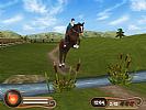 My Riding Stables: Life with horses - screenshot #10
