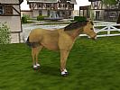 My Riding Stables: Life with horses - screenshot #7