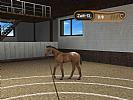 My Riding Stables: Life with horses - screenshot #4