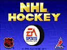 NHL '94 - screenshot #9