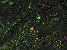 StarCraft II: Heart of the Swarm - screenshot #72