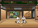 Budokan: The Martial Spirit - screenshot #33