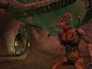 The Elder Scrolls 3: Morrowind - screenshot #52