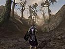 The Elder Scrolls 3: Morrowind - screenshot #47