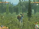 Deer Hunt Legends - screenshot #6