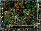 Baldur's Gate - screenshot #4