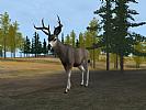 Deer Hunter 2004 - screenshot #44
