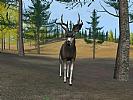 Deer Hunter 2004 - screenshot #43