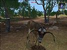 Deer Hunter 2004 - screenshot #29