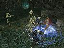 Dungeon Siege: Legends of Aranna - screenshot #3