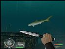 Shark! Hunting The Great White - screenshot #8