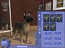 The Sims 2: Pets - screenshot
