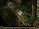 Baldur's Gate 2: Shadows of Amn - screenshot #26