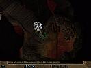 Baldur's Gate 2: Shadows of Amn - screenshot #9