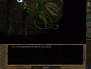 Baldur's Gate 2: Throne of Bhaal - screenshot #6