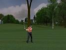 ProStroke Golf: World Tour 2007 - screenshot #78