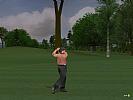 ProStroke Golf: World Tour 2007 - screenshot #76
