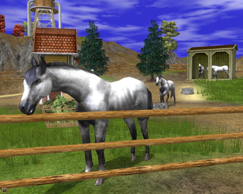 Wildlife Park 2: Horses - screenshot 8
