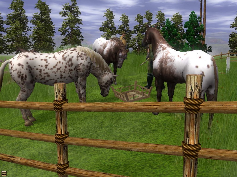 Wildlife Park 2: Horses - screenshot 3