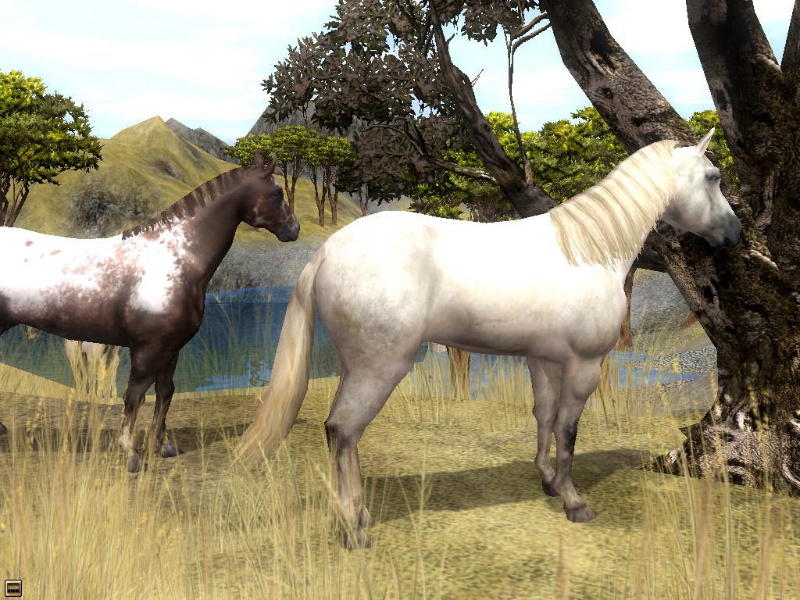 Wildlife Park 2: Horses - screenshot 1