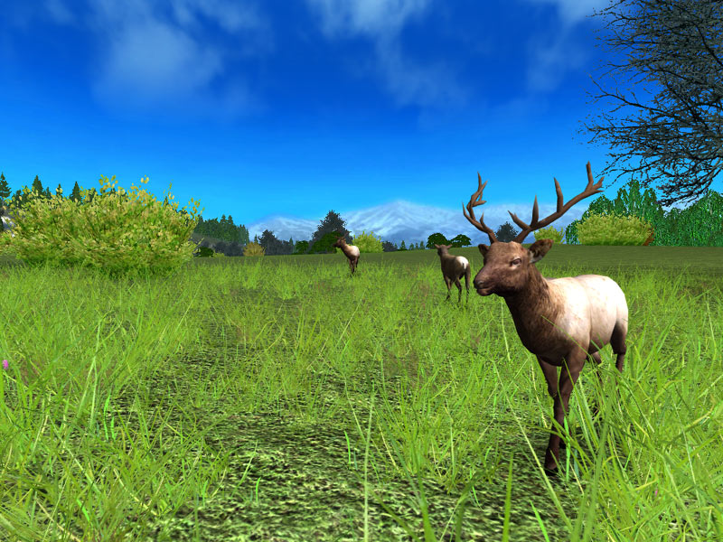 Hunting Unlimited 2009 - screenshot 10