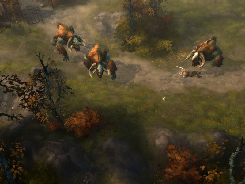 Diablo III - screenshot 3
