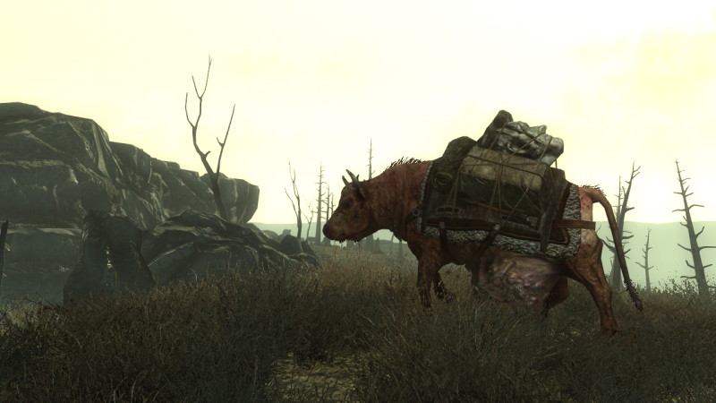 Fallout 3 - screenshot 12