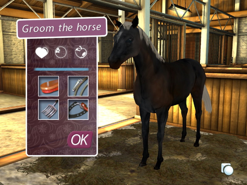 My Horse and Me 2 - screenshot 1