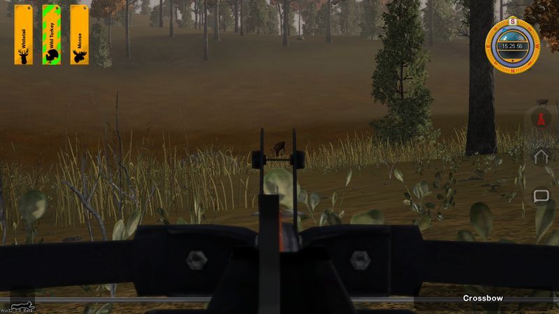 Deer Hunter Tournament - screenshot 143