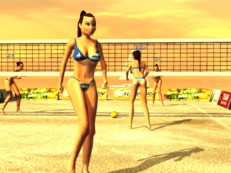 Sunshine Beach Volleyball - screenshot 11