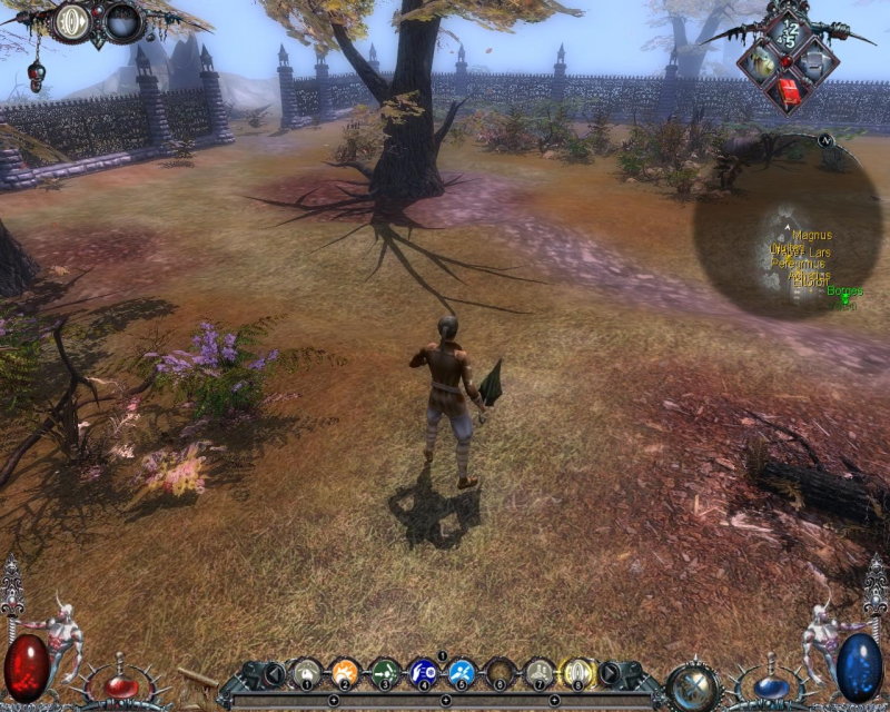 Dawn of Magic 2 - screenshot 6