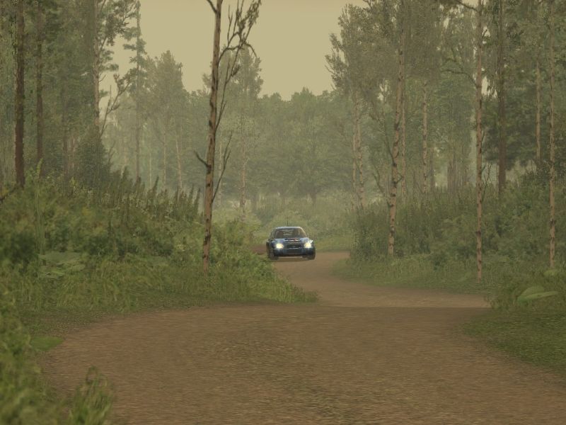 Richard Burns Rally - screenshot 16