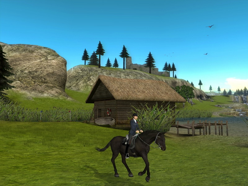 My Riding Stables: Life with horses - screenshot 18